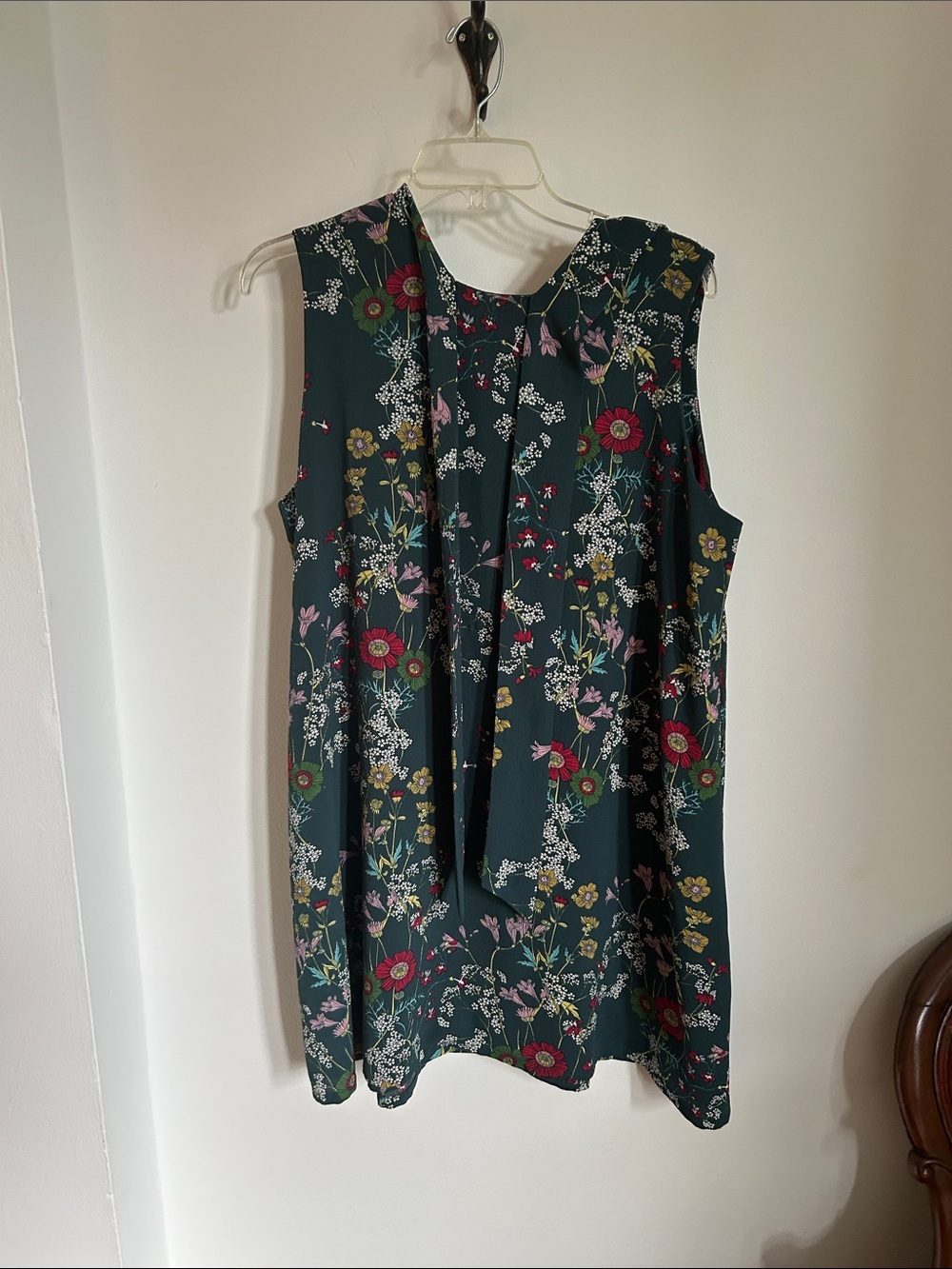 Birds of North America dress